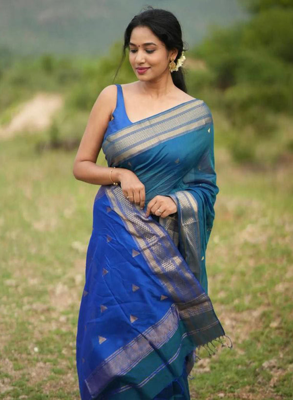 Saree offers