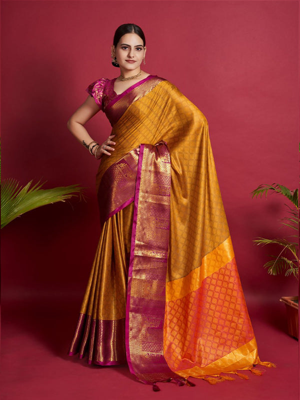 Patola sarees