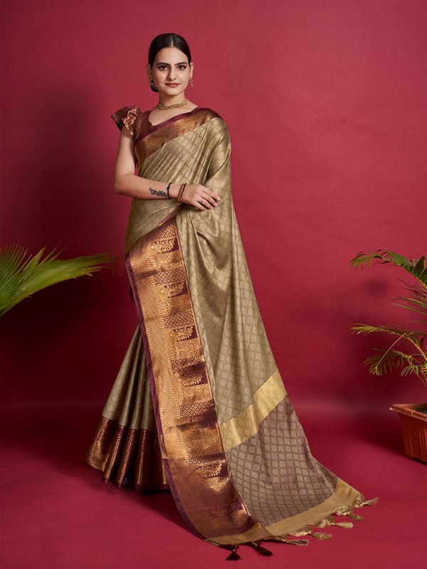 Saree with mirror work