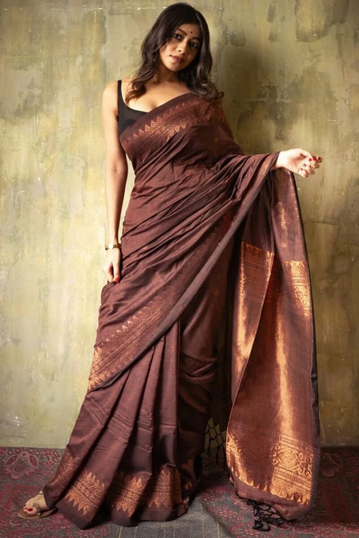 Extraordinary Brown Soft Silk Saree With Intricate Blouse Piece