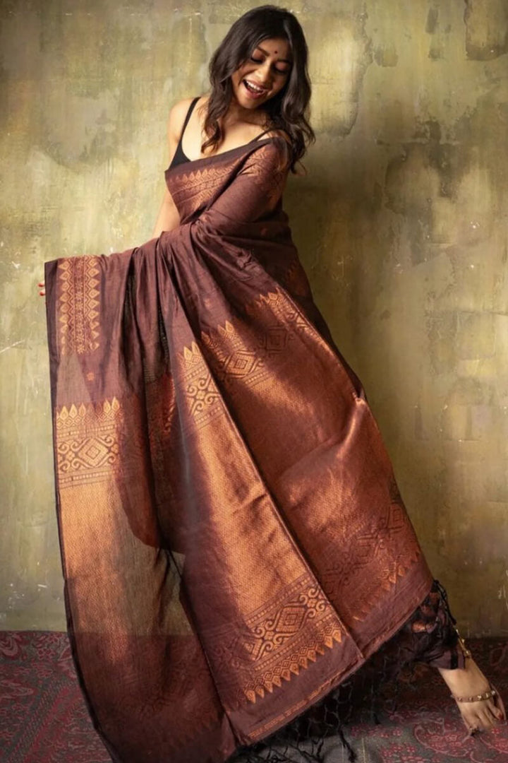 Extraordinary Brown Soft Silk Saree With Intricate Blouse Piece