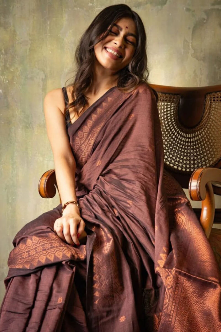 Extraordinary Brown Soft Silk Saree With Intricate Blouse Piece