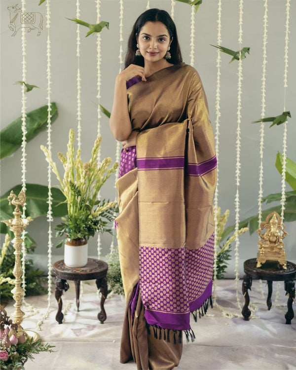 Fancifull Dark Beige Soft Silk Saree With Arresting Blouse Piece