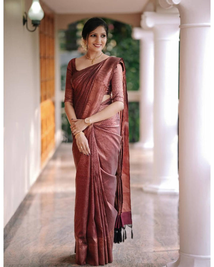 Hypnotic Wine Soft Silk Saree With Intricate Blouse Piece