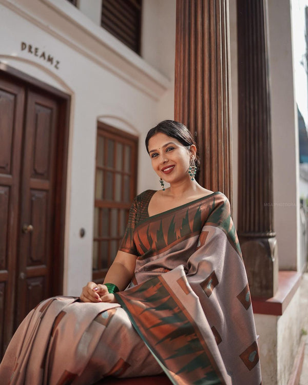 Fragrant Grey Soft Silk Saree With Snappy Blouse Piece