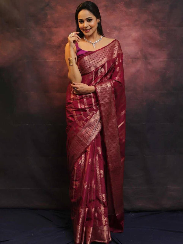 Alluring Wine Soft Silk Saree With Amazing Blouse Piece