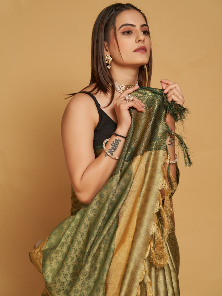 Patola silk sarees with elephant motifs