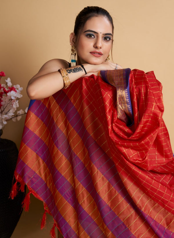 Banarasi alluring sarees