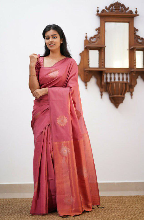 Saree with mirror work