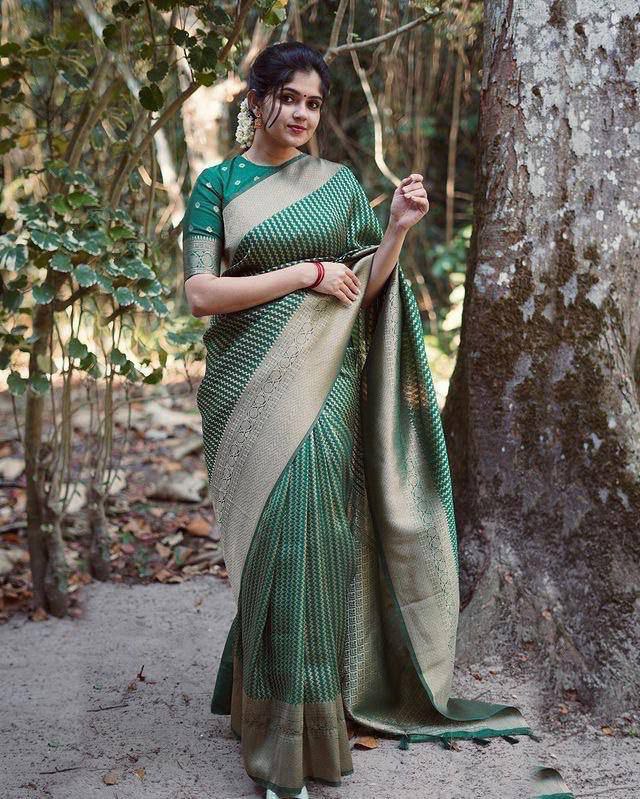Latest Saree Collection Online