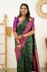 beautiful saree