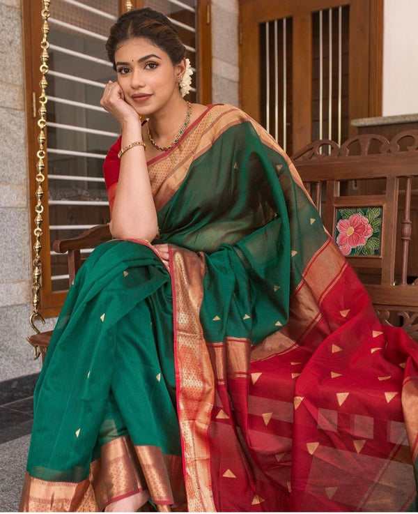 Banarasi masterpieces sarees