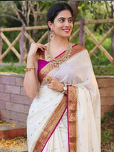 Banarasi floral sarees