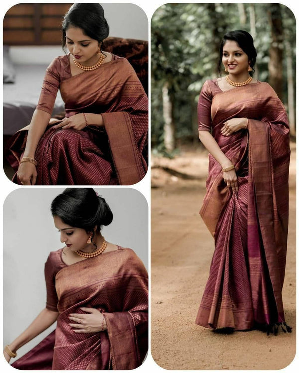 net saree