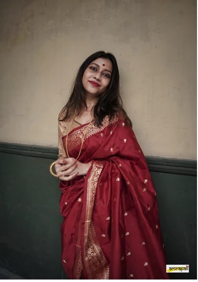 Banarasi jaal sarees