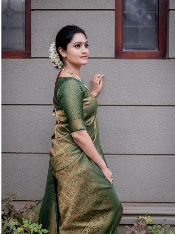 Kota jali sarees