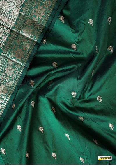 Banarasi cutwork sarees