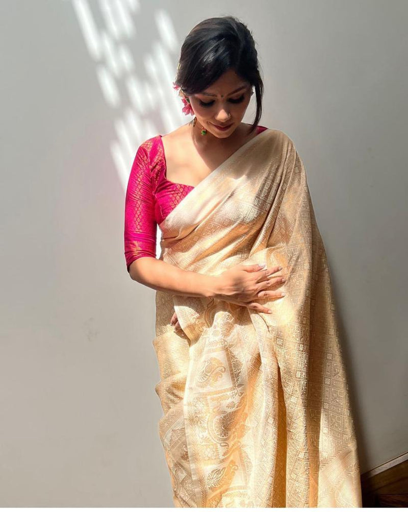 bridal saree