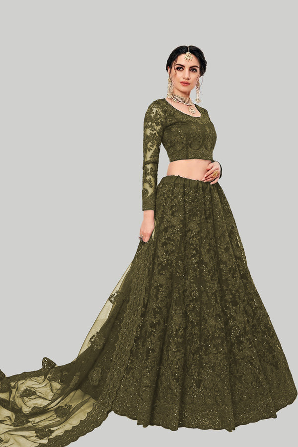 mahendi designer net embroidery work lehenga choli for women