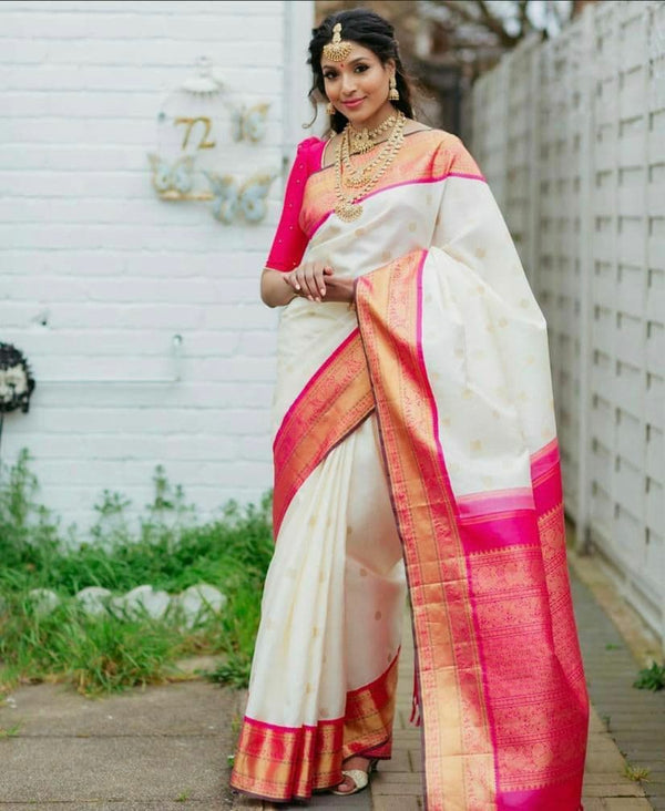 Saree draping styles