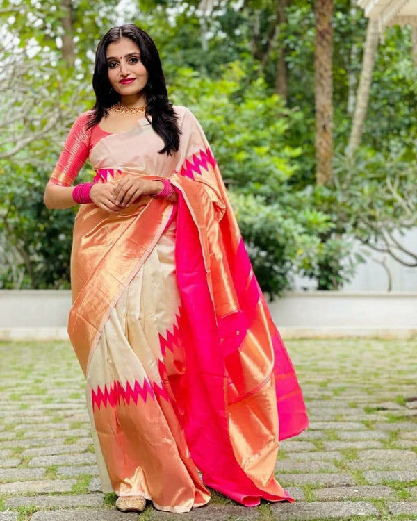 Organza sarees