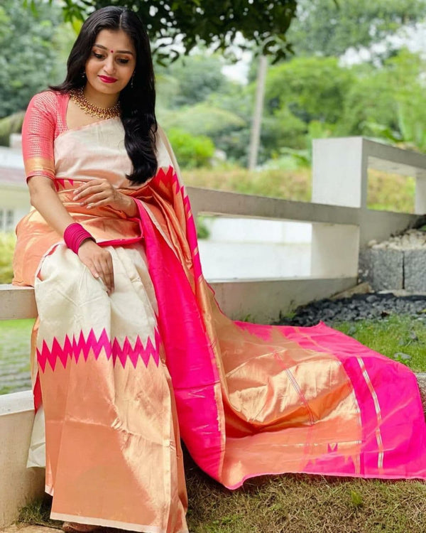 Narayanpet sarees