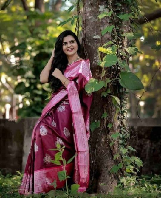 Banarasi resplendent sarees