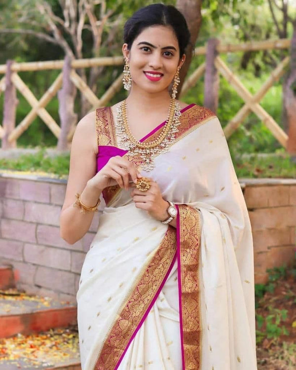 Banarasi jaal sarees